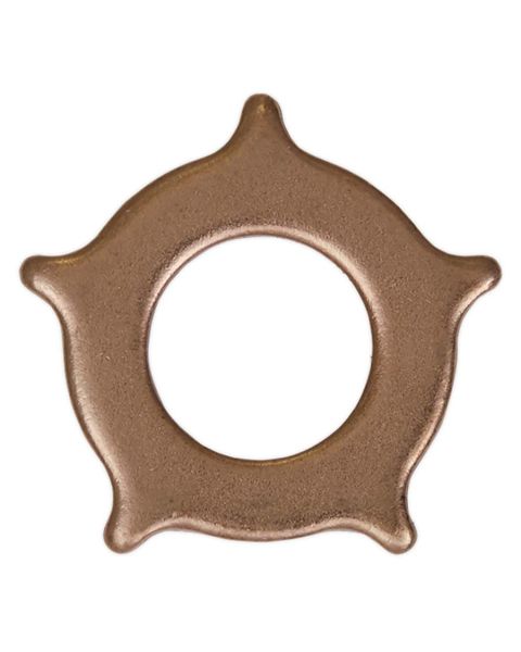 Star Washer for SR2000 Pack of 10